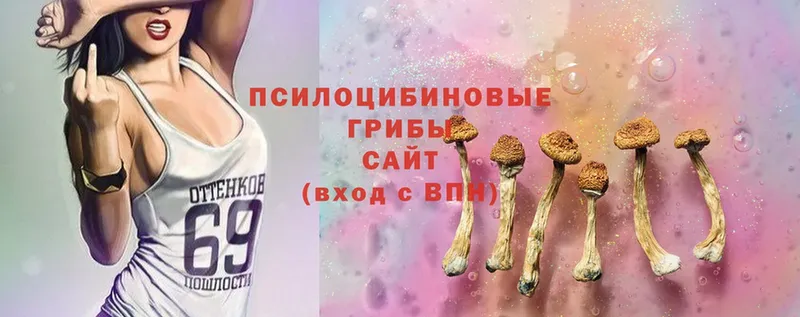 Галлюциногенные грибы Magic Shrooms  купить наркотики цена  Оханск 